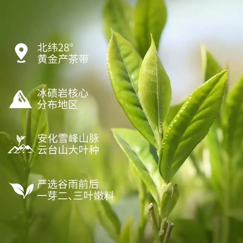 湖南安化黑茶正宗白沙溪金花获砖茶茶礼茶叶天获茶1kg